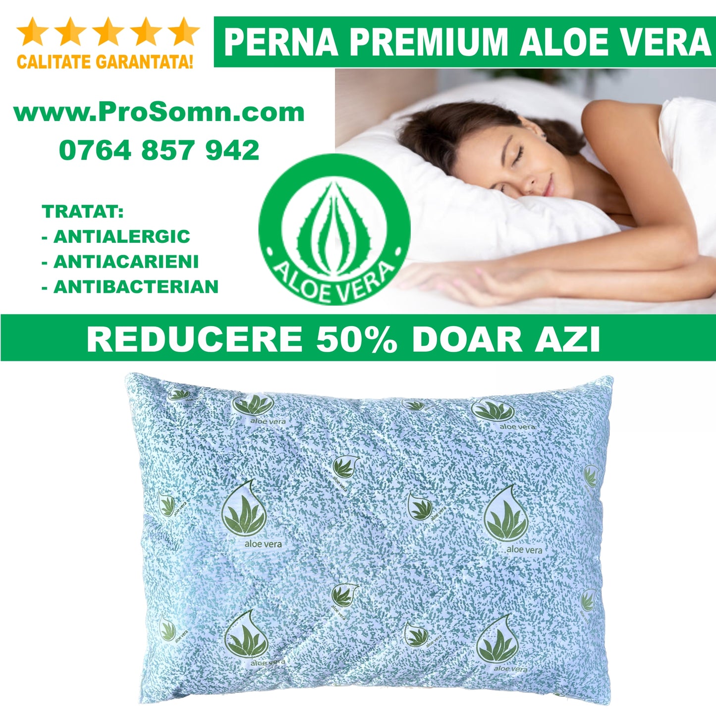 PERNA PREMIUM ALOE VERA MATLASATA 50X70cm